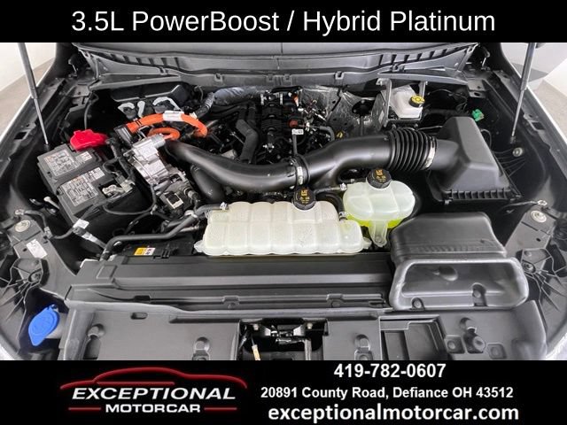 Used 2025 Ford F150 Platinum AWD/4WD image 52