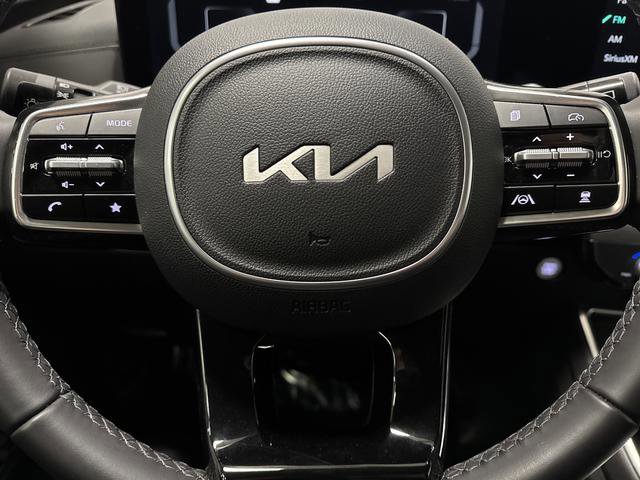 Used 2025 Kia Carnival SX w/ SX Dark Edition Package image 17