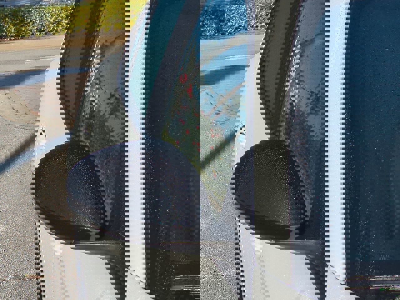 New 2025 Alfa Romeo Giulia w/ Driving Assist Package image 11