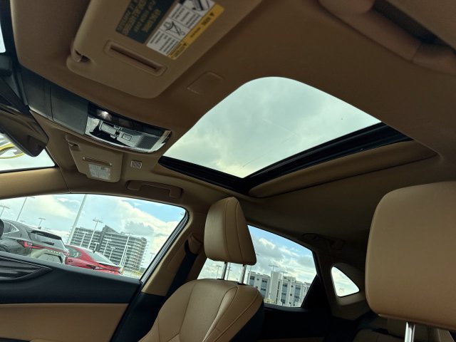 Certified 2024 Lexus NX 250 FWD w/ Cold Area Package image 22