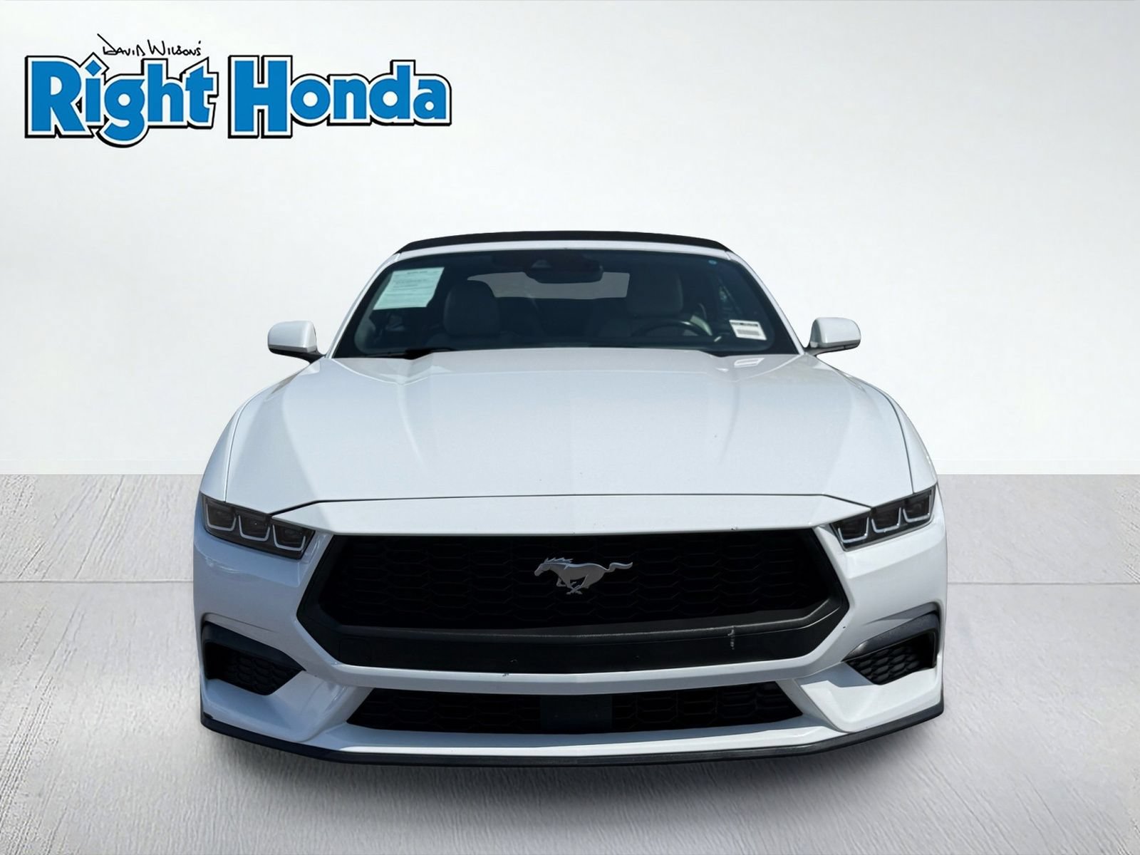 Used 2024 Ford Mustang Premium RWD image 5