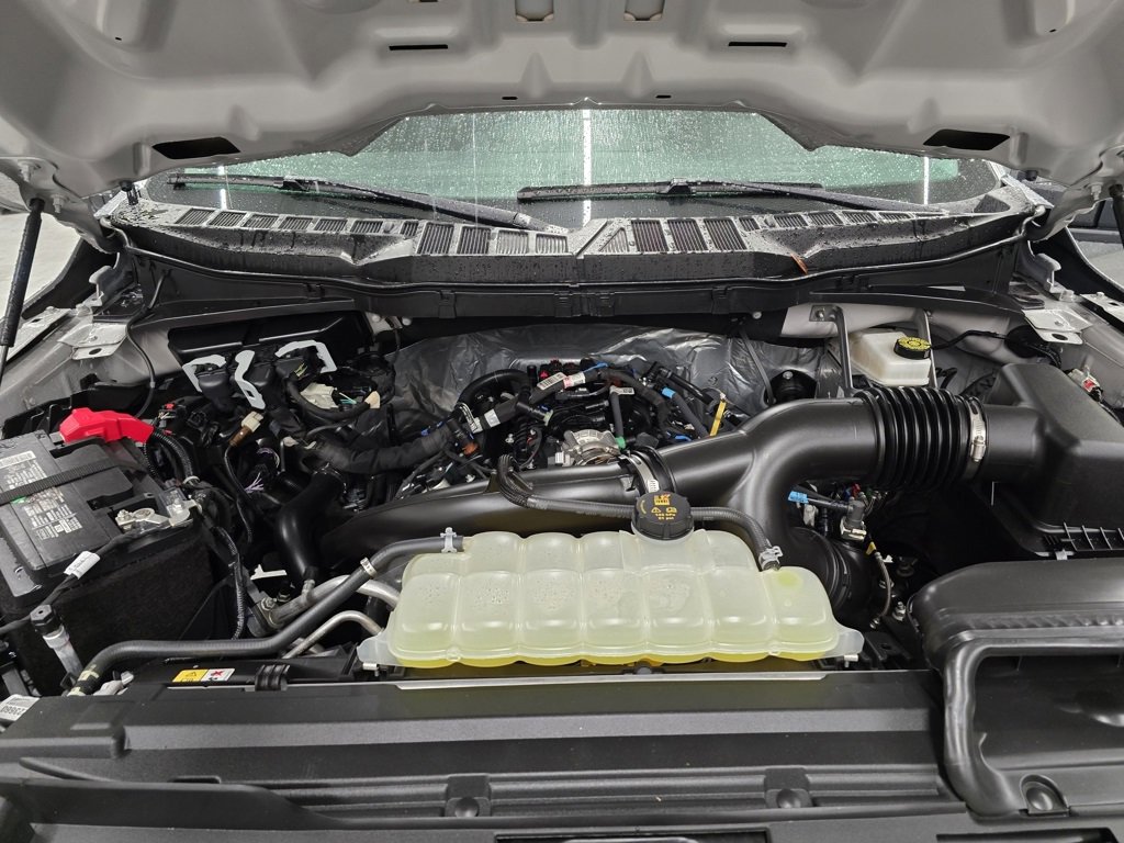 Used 2025 Ford F150 XLT w/ Equipment Group 301A Standard image 13