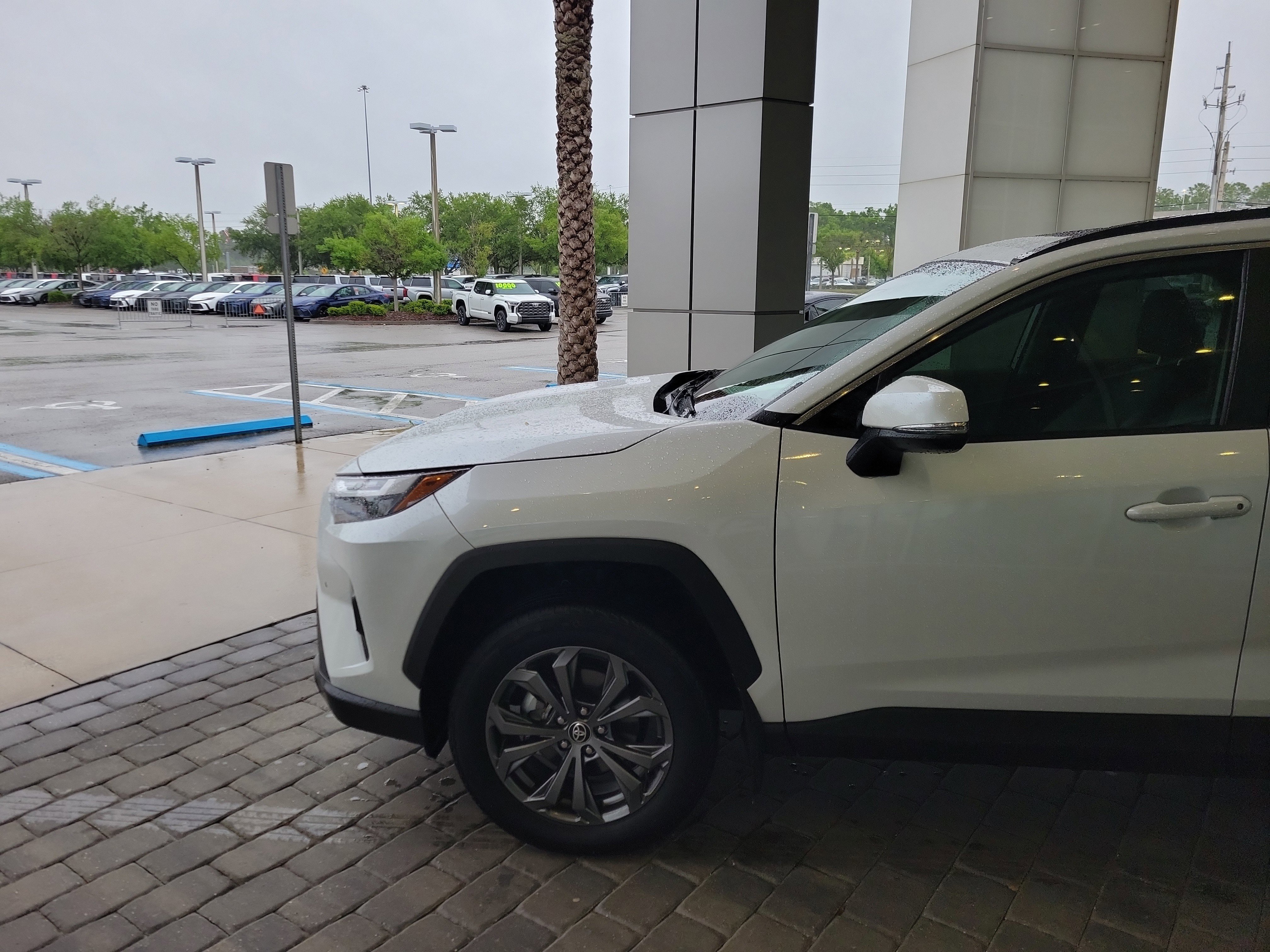 Certified 2025 Toyota RAV4 XLE Premium image 2