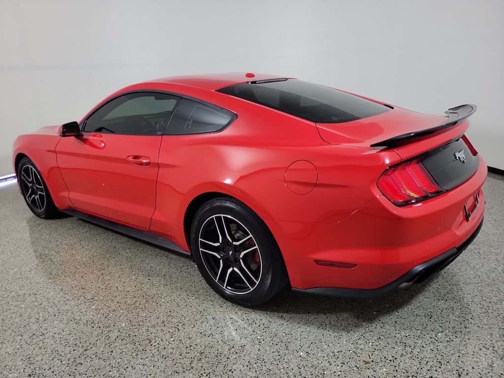 Used 2019 Ford Mustang Premium RWD image 3