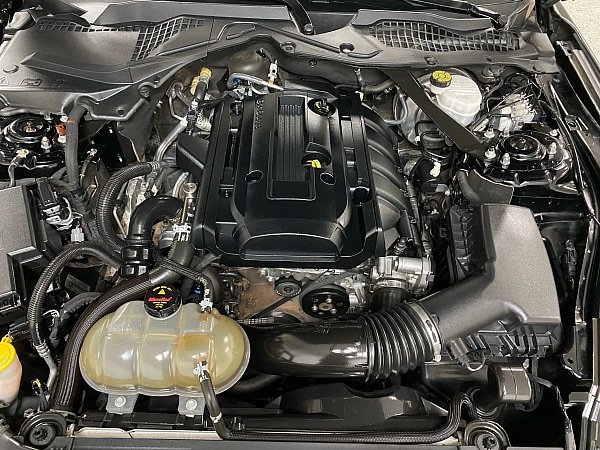 Used 2019 Ford Mustang Premium image 14