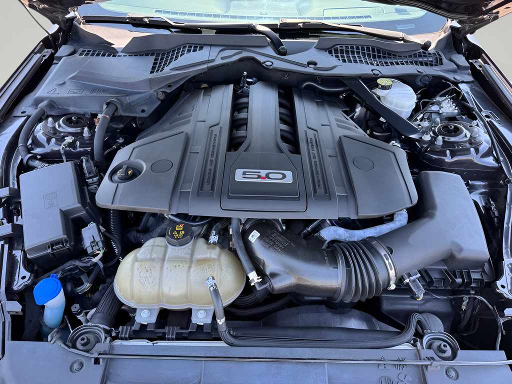 Used 2022 Ford Mustang GT Premium w/ Equipment Group 401A RWD image 9