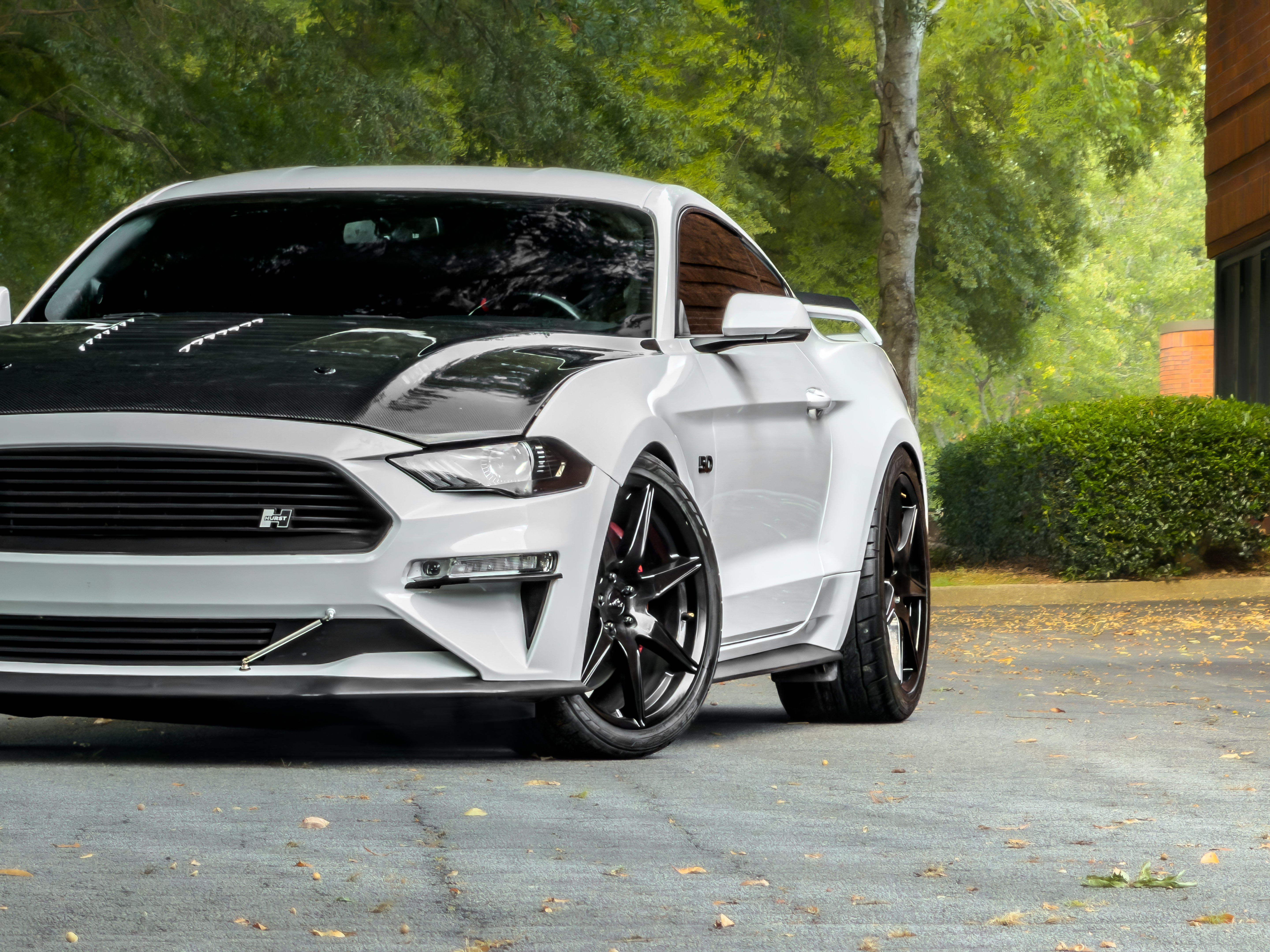 Used 2019 Ford Mustang GT Premium w/ GT Performance Package RWD image 28
