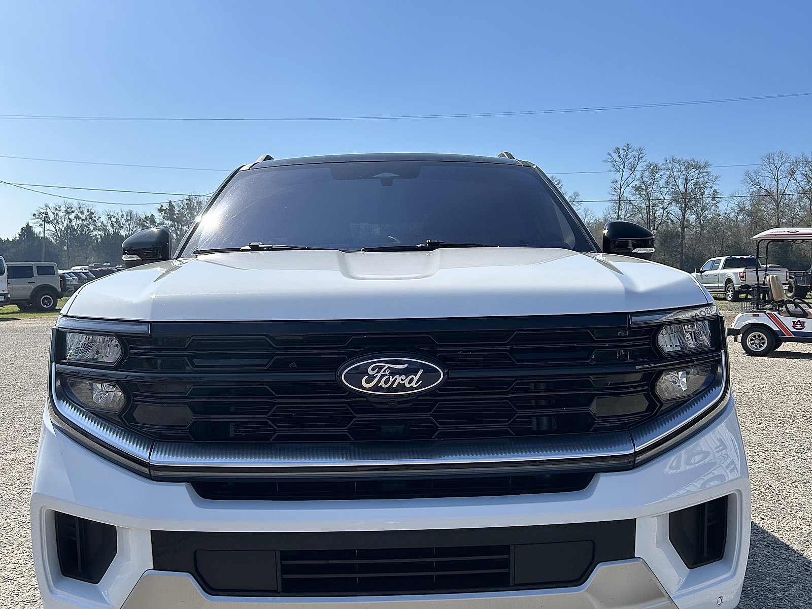 Used 2025 Ford Expedition Max Platinum image 2