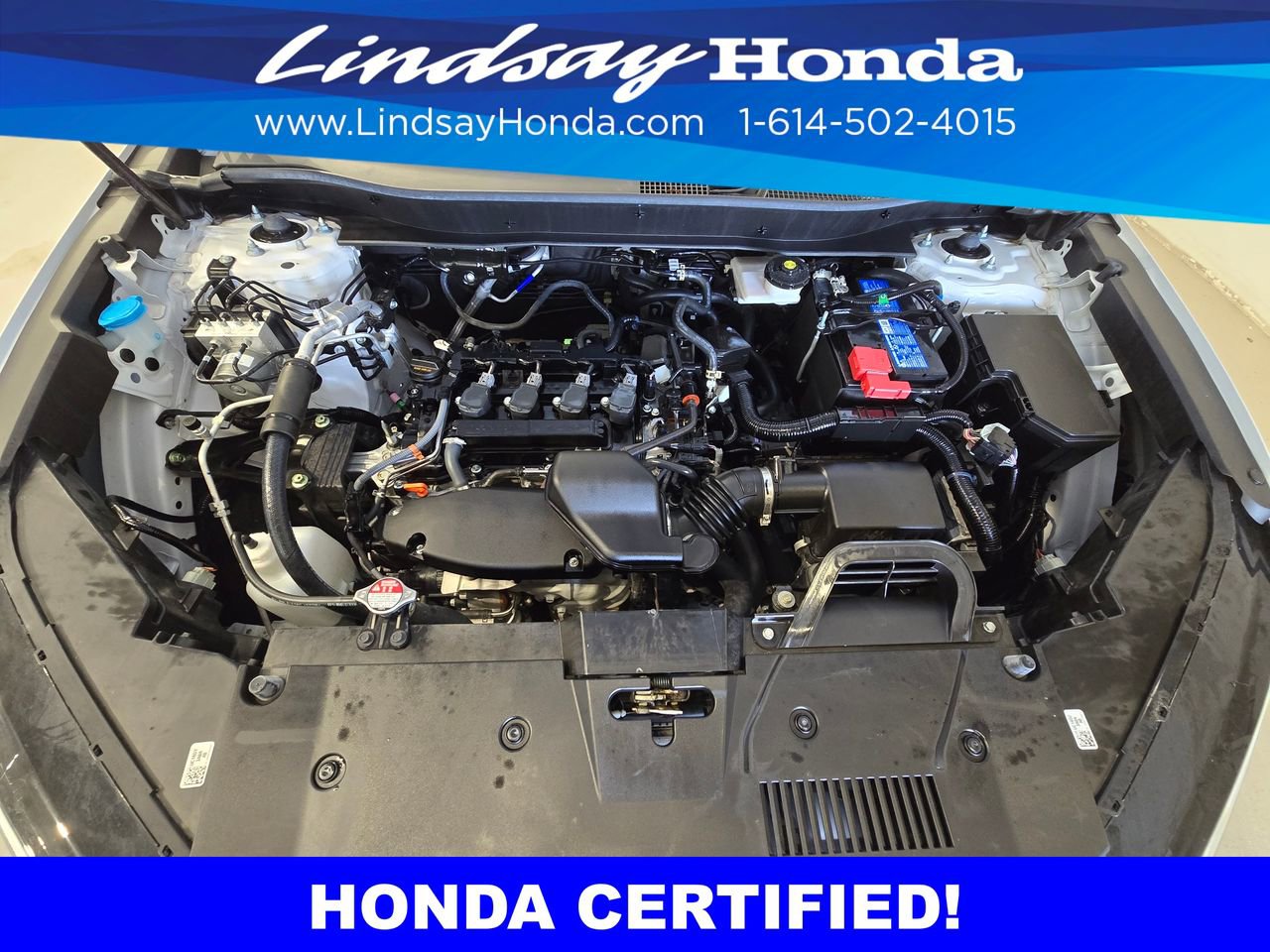 Certified 2024 Honda CR-V EX image 25