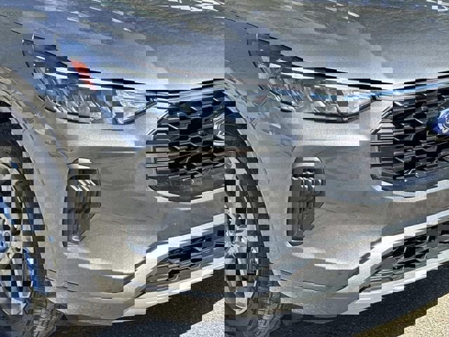 Used 2024 Ford Escape ST-Line w/ Cold Weather Package image 2