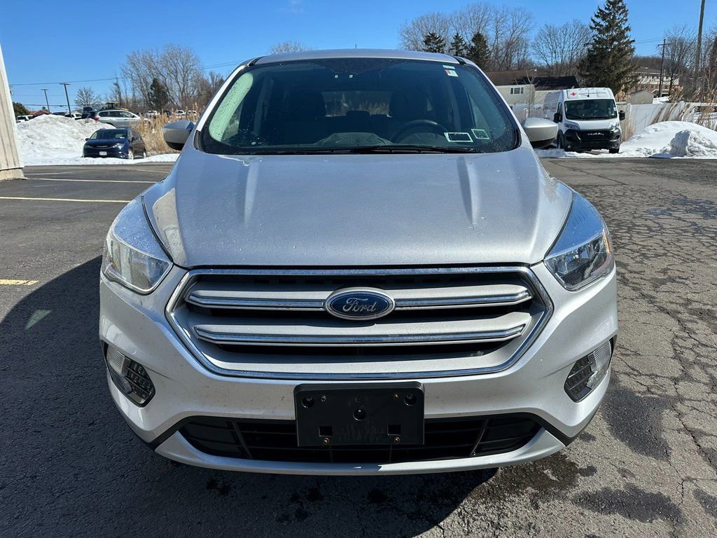 Used 2019 Ford Escape SE image 11