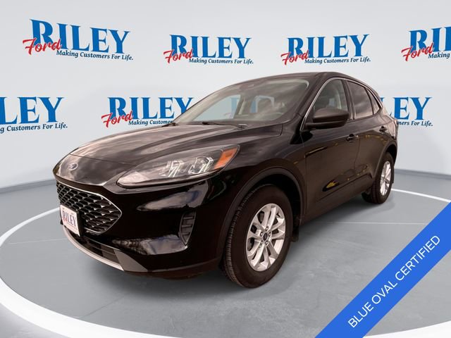 Used 2022 Ford Escape SE w/ Cold Weather Package AWD/4WD image 1