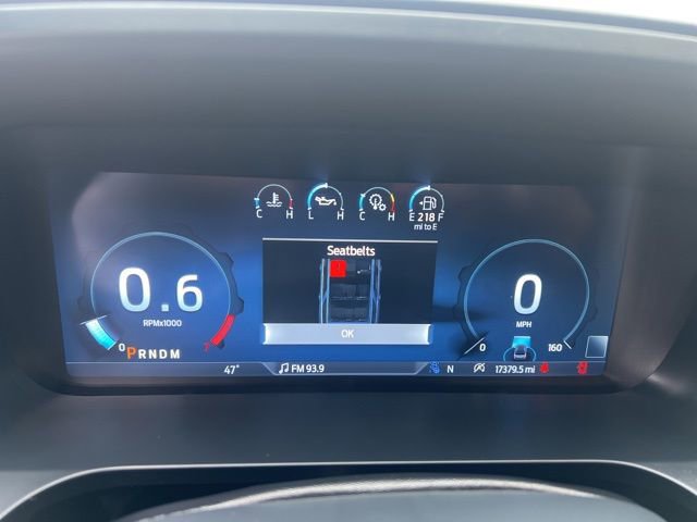 Used 2024 Ford Expedition Platinum image 28