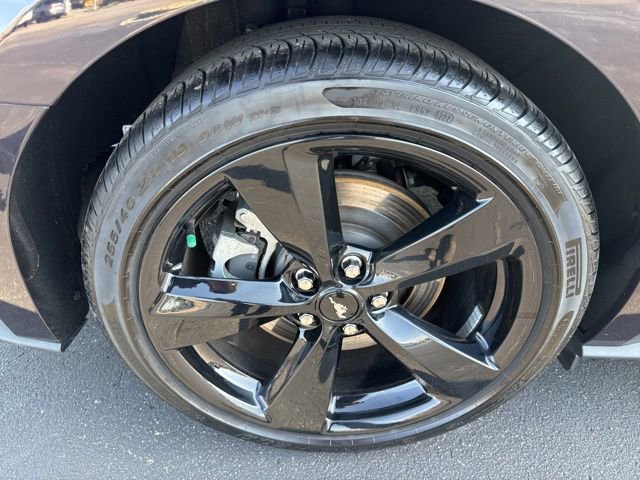 Used 2022 Ford Mustang GT Premium w/ Black Accent Package RWD image 13