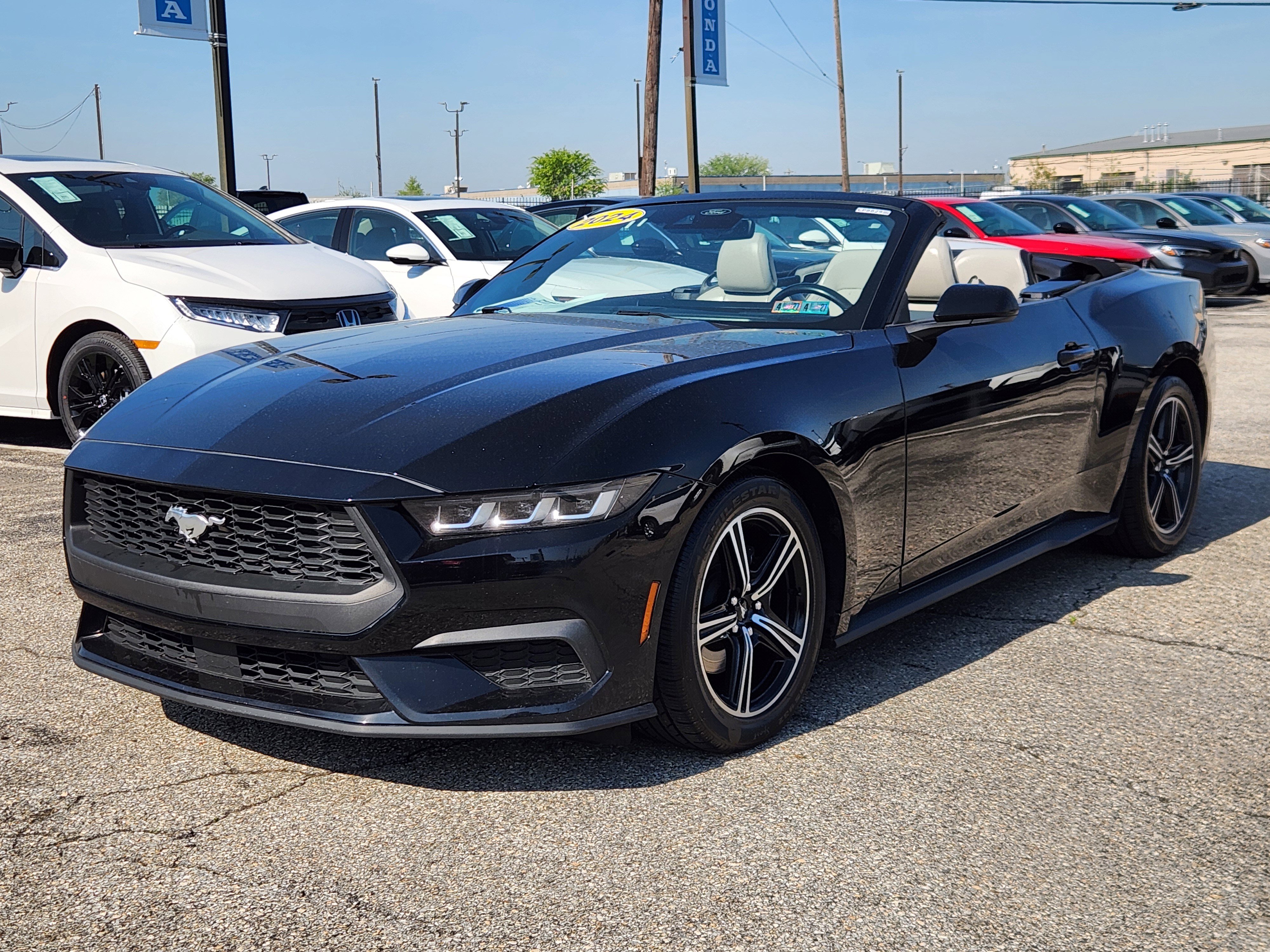 Used 2024 Ford Mustang Premium image 8