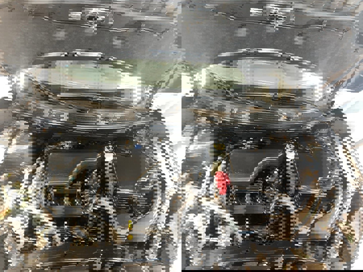 Used 2019 Nissan Rogue Sport SV w/ Technology Package image 24