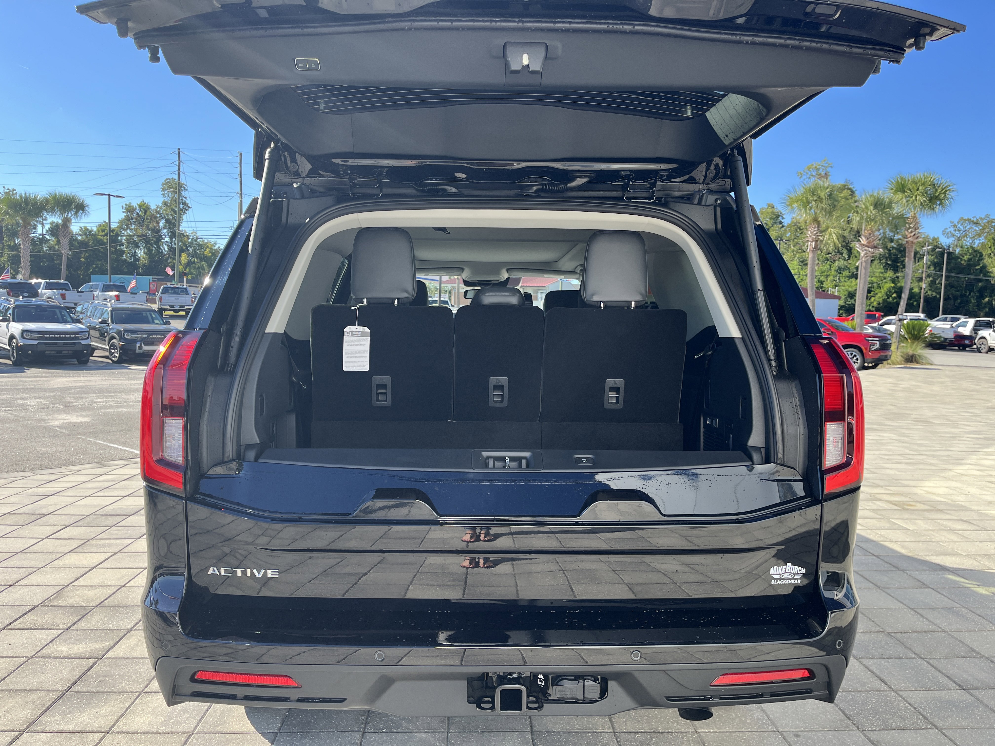 New 2025 Ford Expedition Active image 10