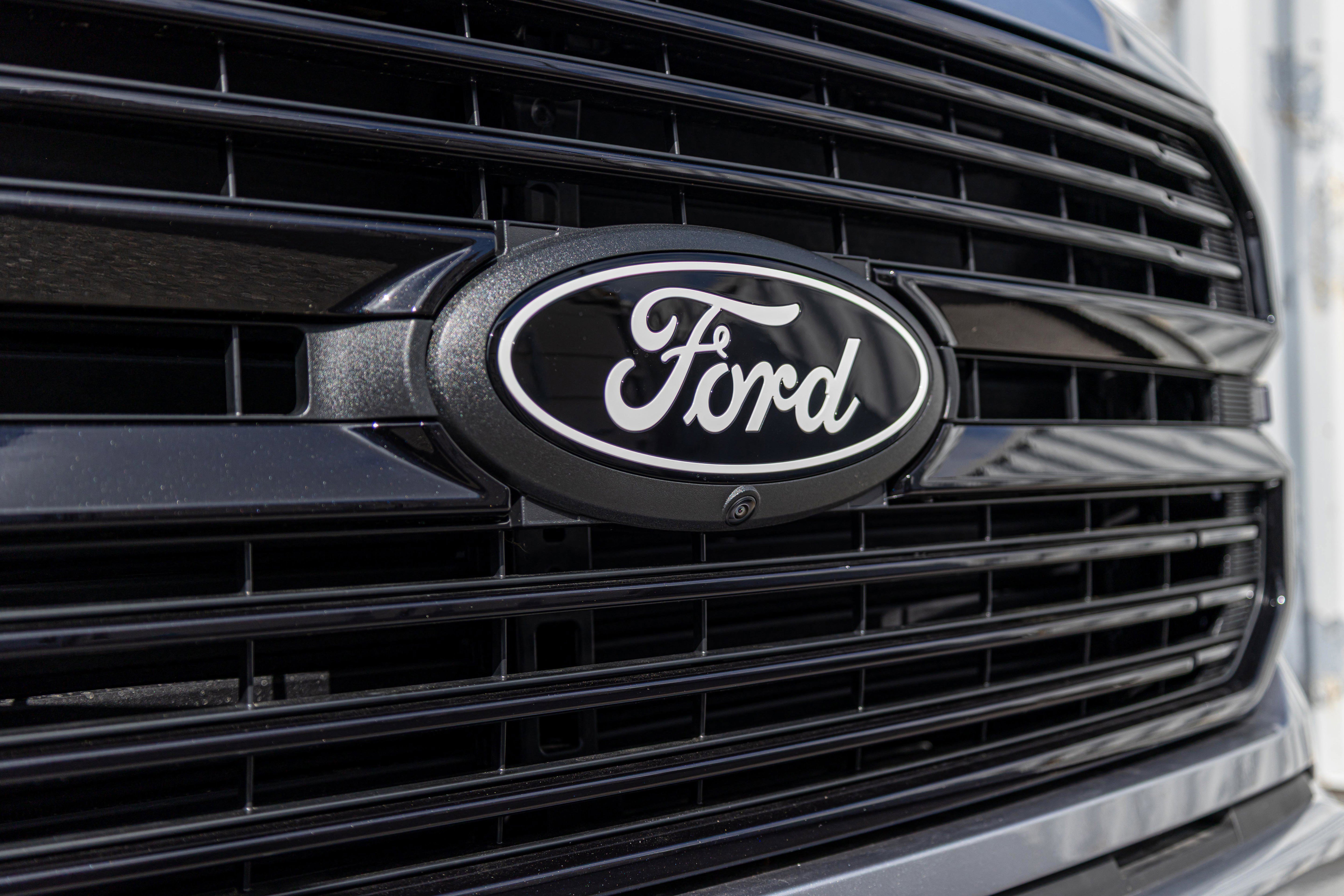 New 2025 Ford F150 Platinum image 14