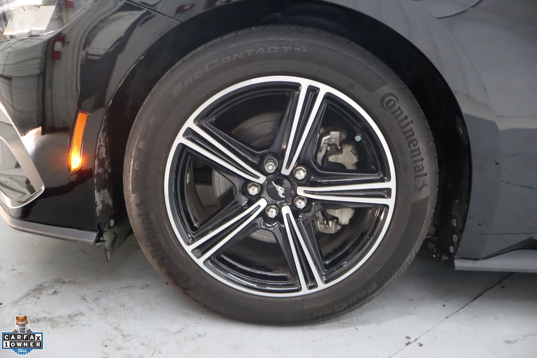 Used 2024 Ford Mustang Coupe w/ 2.3L High Performance Package image 12