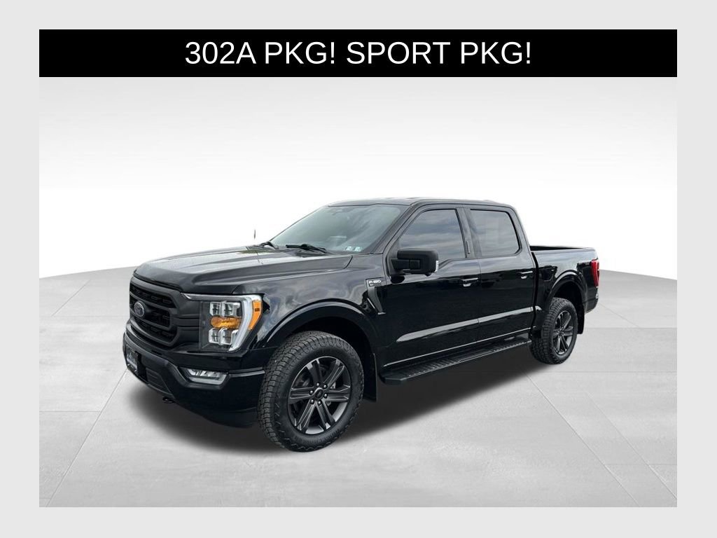 Used 2023 Ford F150 XLT w/ Equipment Group 302A High AWD/4WD image 1