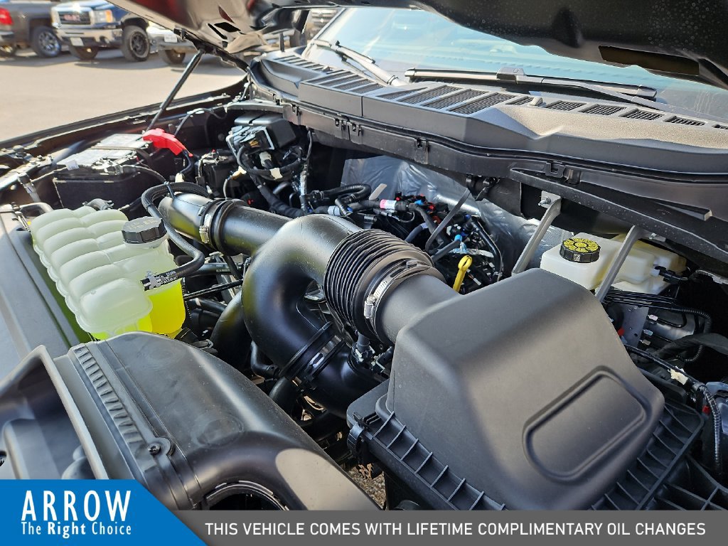 New 2026 Ford F150 STX w/ Equipment Group 200A RWD image 15