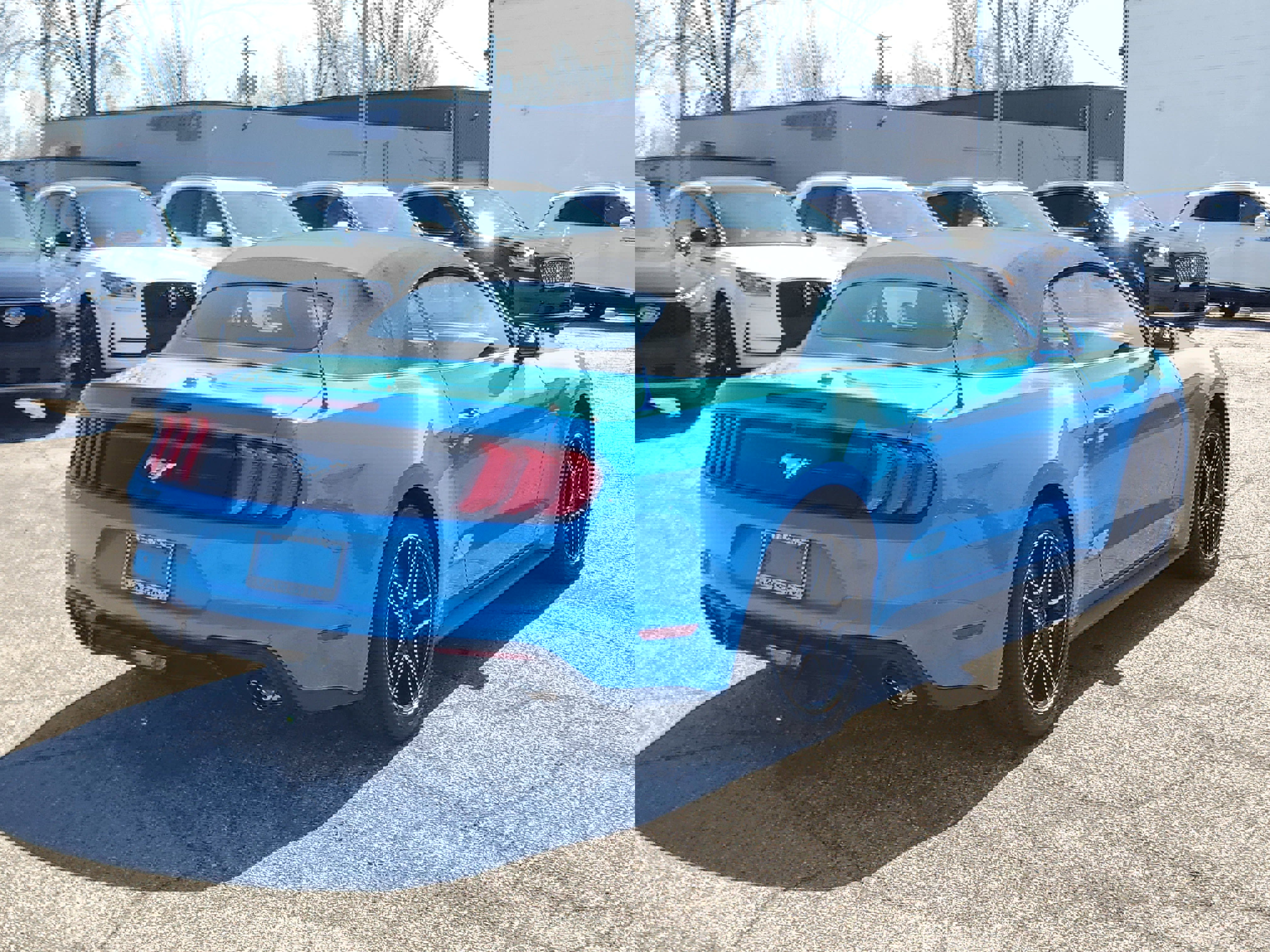 Used 2023 Ford Mustang Premium w/ Equipment Group 201A RWD image 6