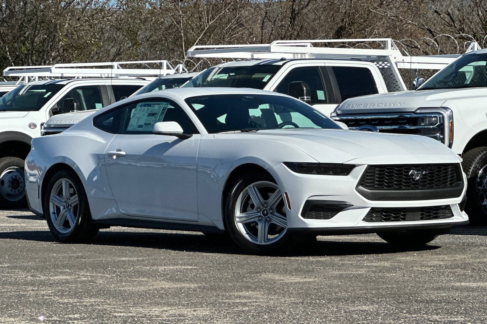 New 2026 Ford Mustang Coupe RWD image 1