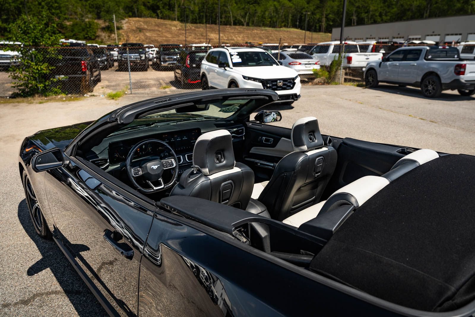 Certified 2024 Ford Mustang Premium RWD image 9