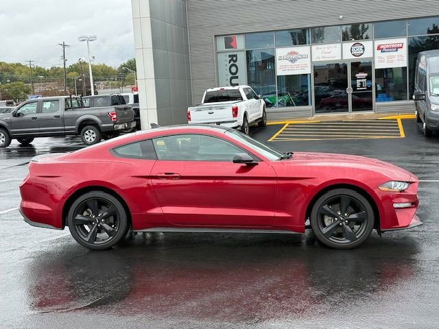 Used 2023 Ford Mustang Coupe w/ Equipment Group 101A image 2