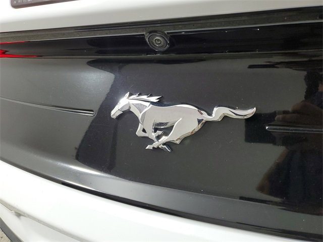 Used 2023 Ford Mustang Premium w/ Equipment Group 201A image 6