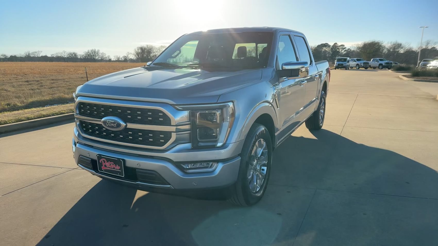 Used 2023 Ford F150 Platinum RWD image 3