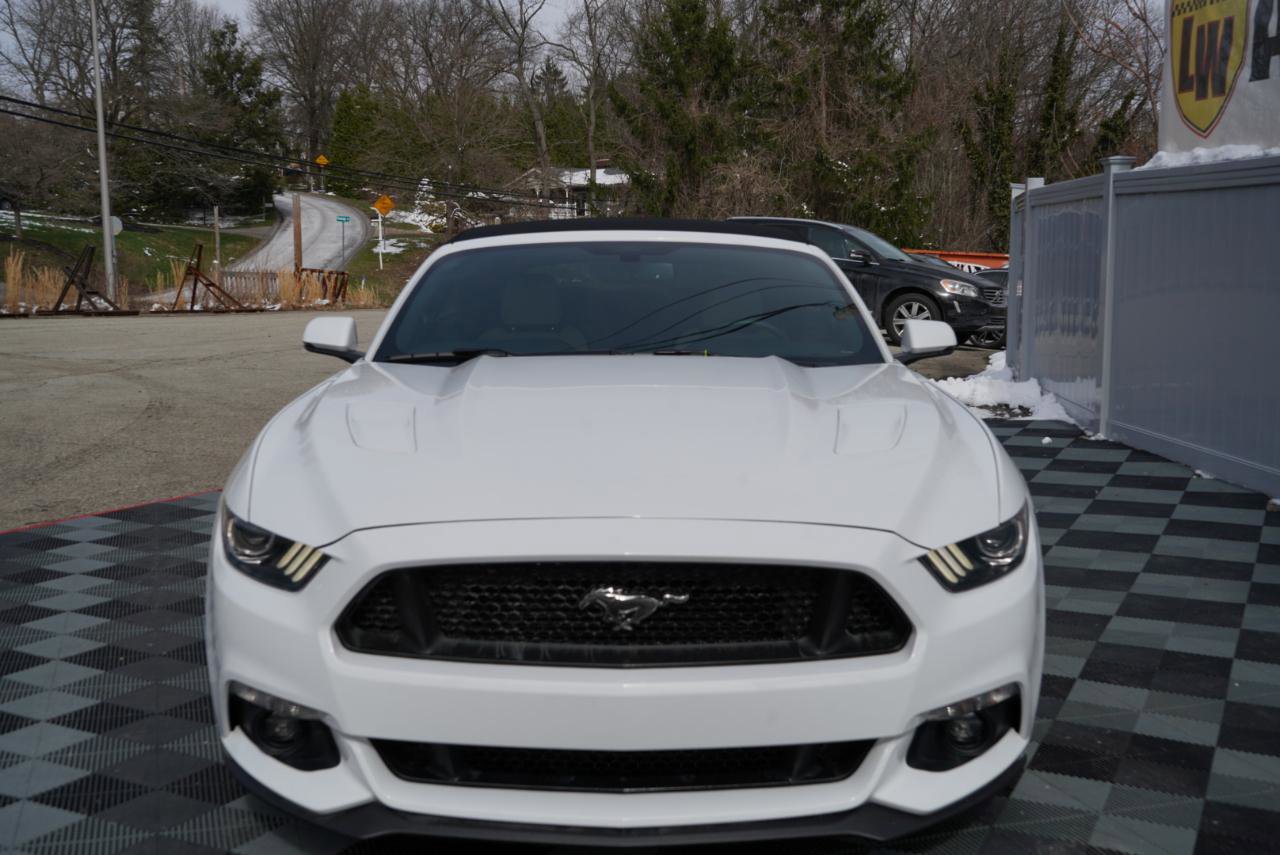 Used 2015 Ford Mustang GT Premium w/ Equipment Group 401A image 14