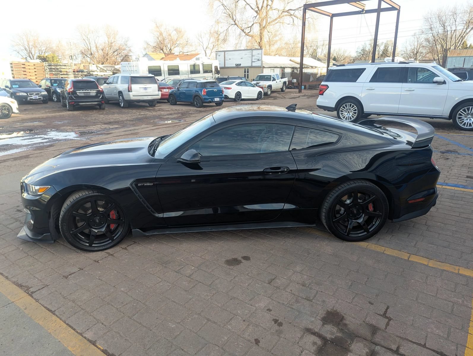 Used 2020 Ford Mustang Shelby GT350R w/ GT350R Equipment Group 920A RWD image 2