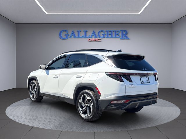 Used 2024 Hyundai Tucson Limited image 7