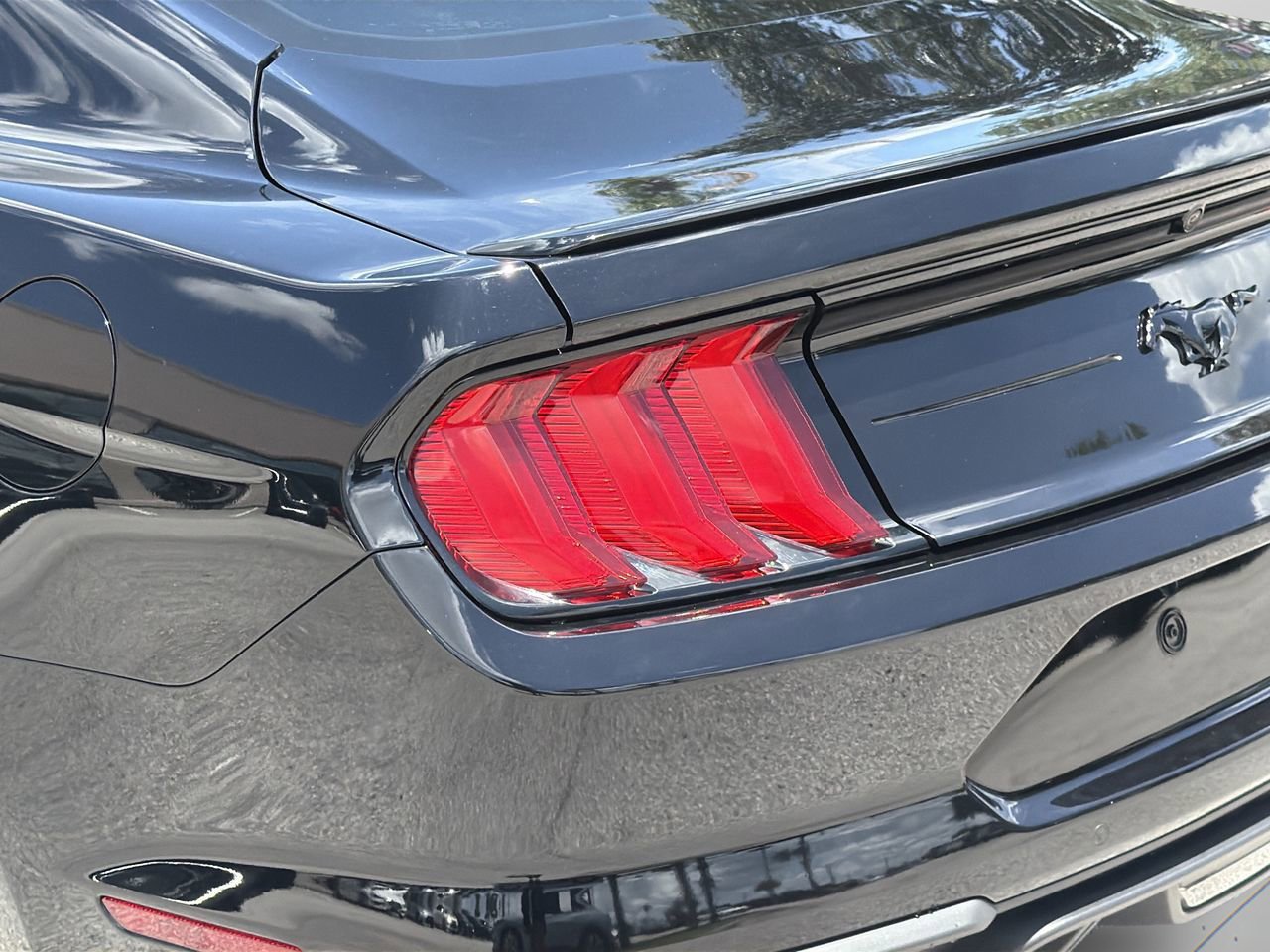 Used 2022 Ford Mustang Premium w/ Equipment Group 201A RWD image 7