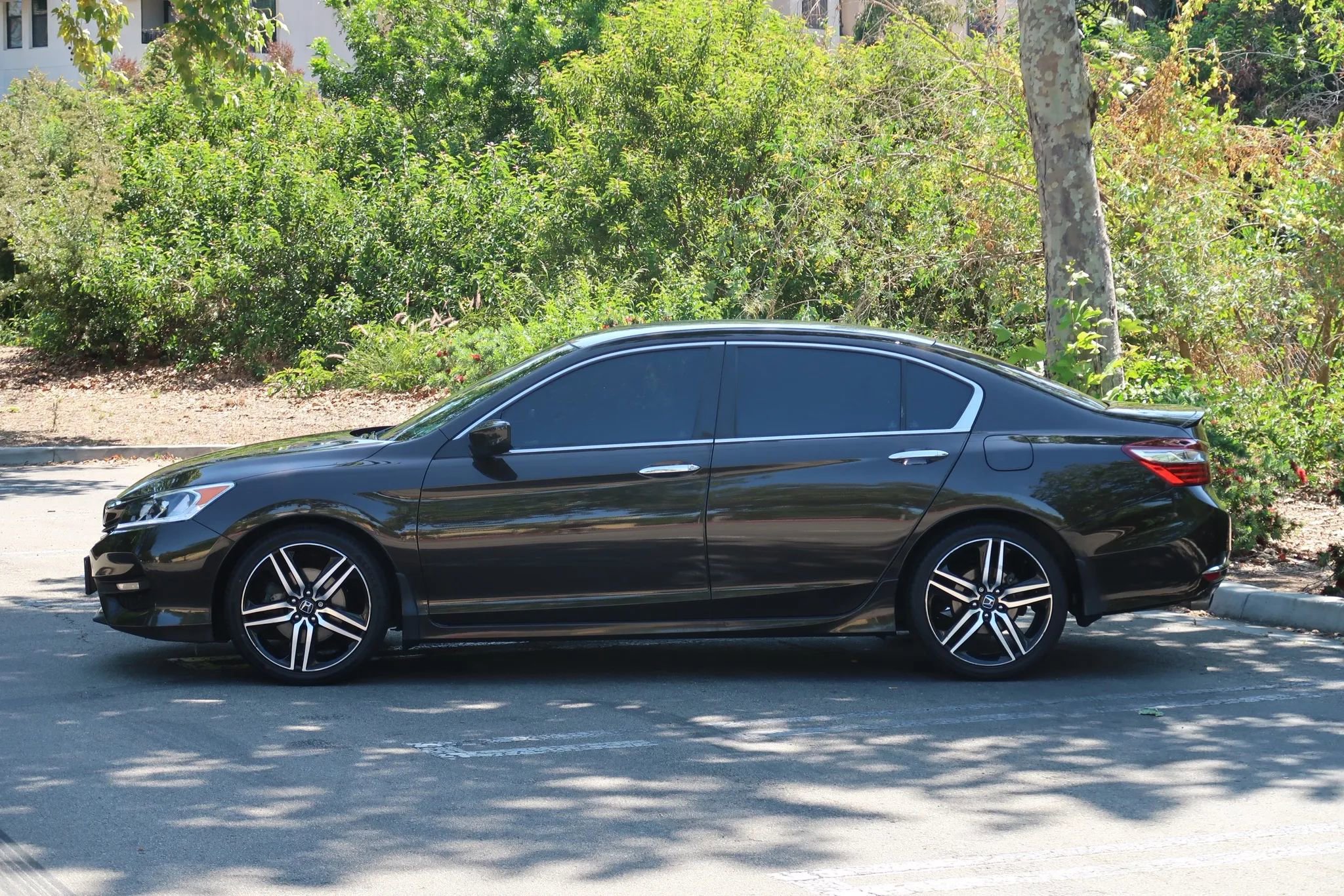 Used 2016 Honda Accord Sport image 5