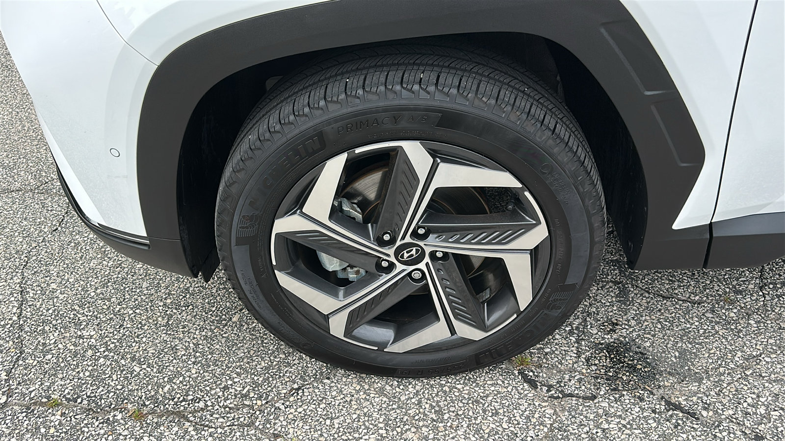 Used 2024 Hyundai Tucson Limited AWD/4WD image 9