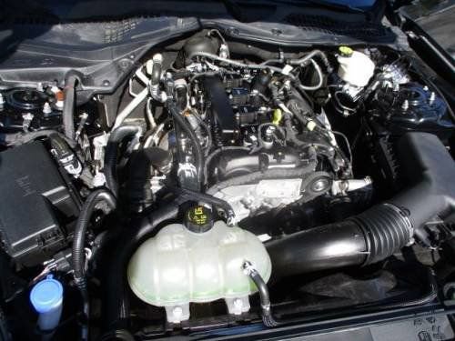 Used 2022 Ford Mustang Coupe w/ Equipment Group 101A image 15