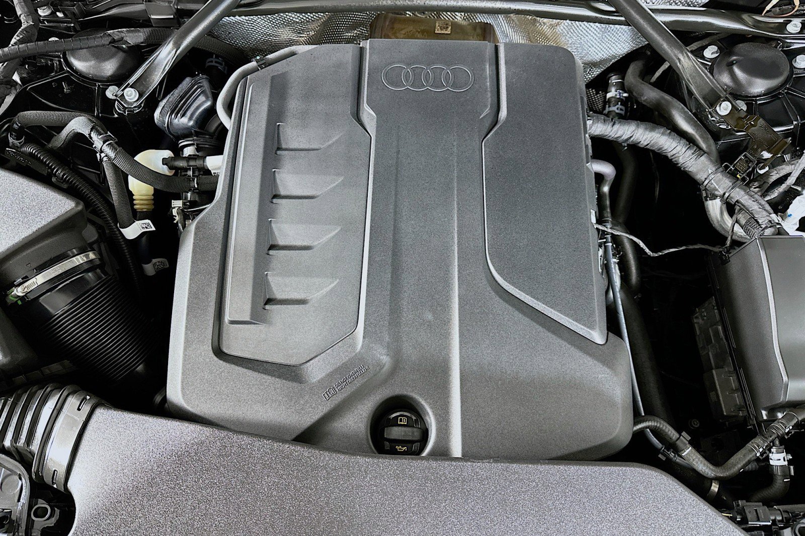 Used 2025 Audi Q5 Premium Plus w/ Premium Plus image 13
