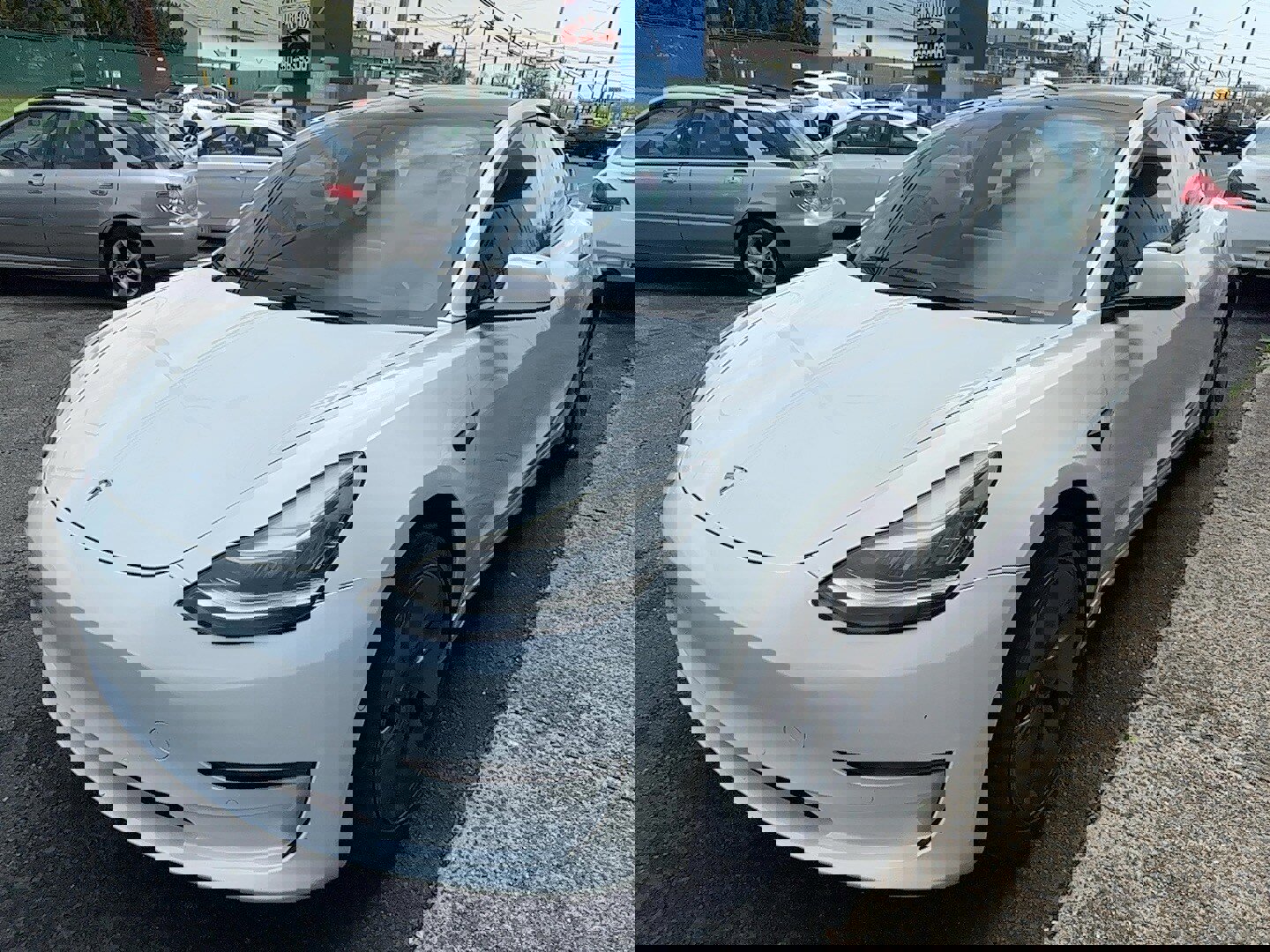 Used 2021 Tesla Model 3 Standard Range Plus image 5