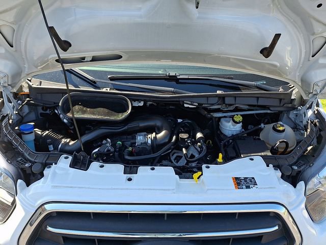 Used 2020 Ford Transit 250 Low Roof w/ Load Area Protection Package image 30