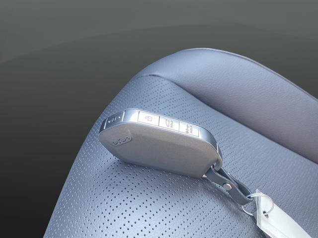 New 2026 Kia Carnival SX Prestige image 35