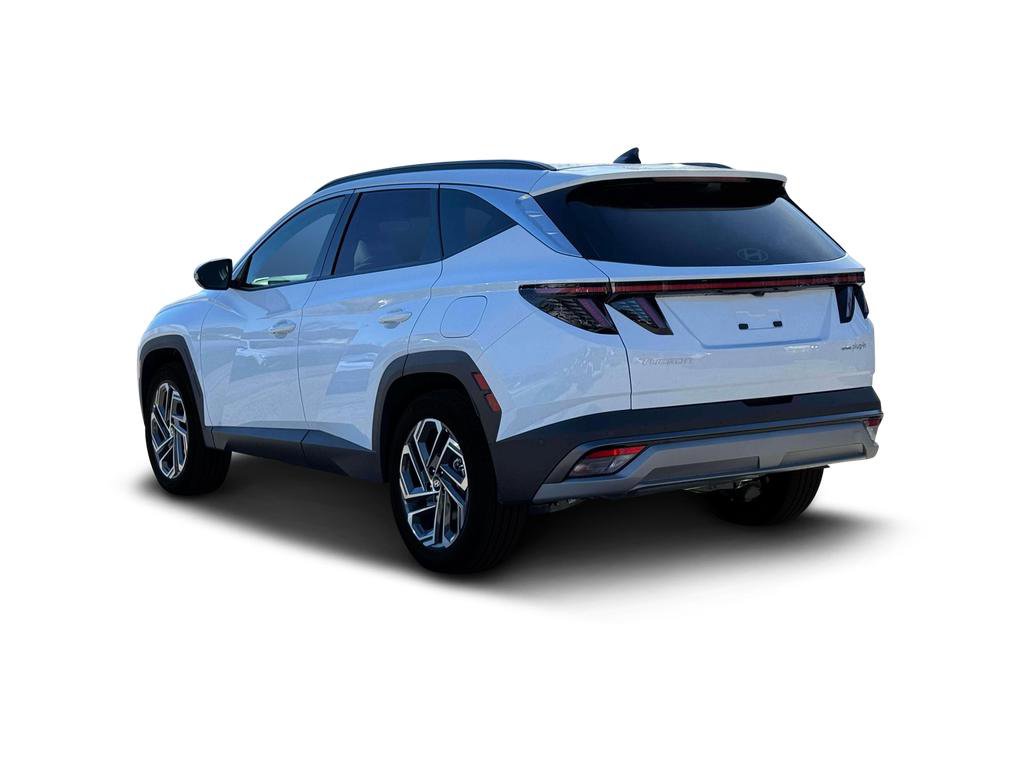 New 2026 Hyundai Tucson Limited image 5