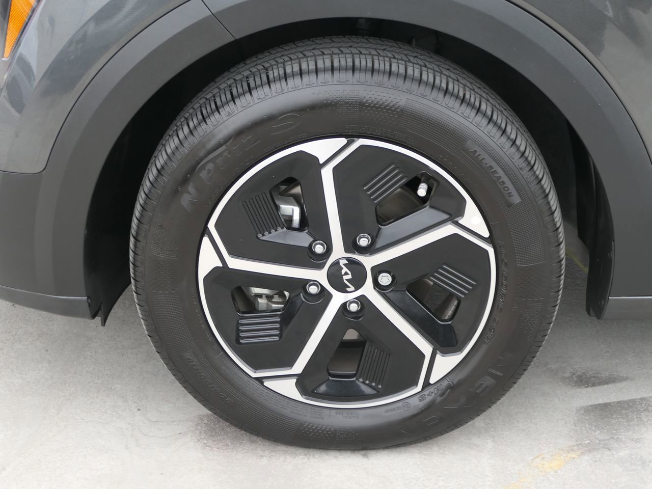 Certified 2025 Kia Niro EX image 11