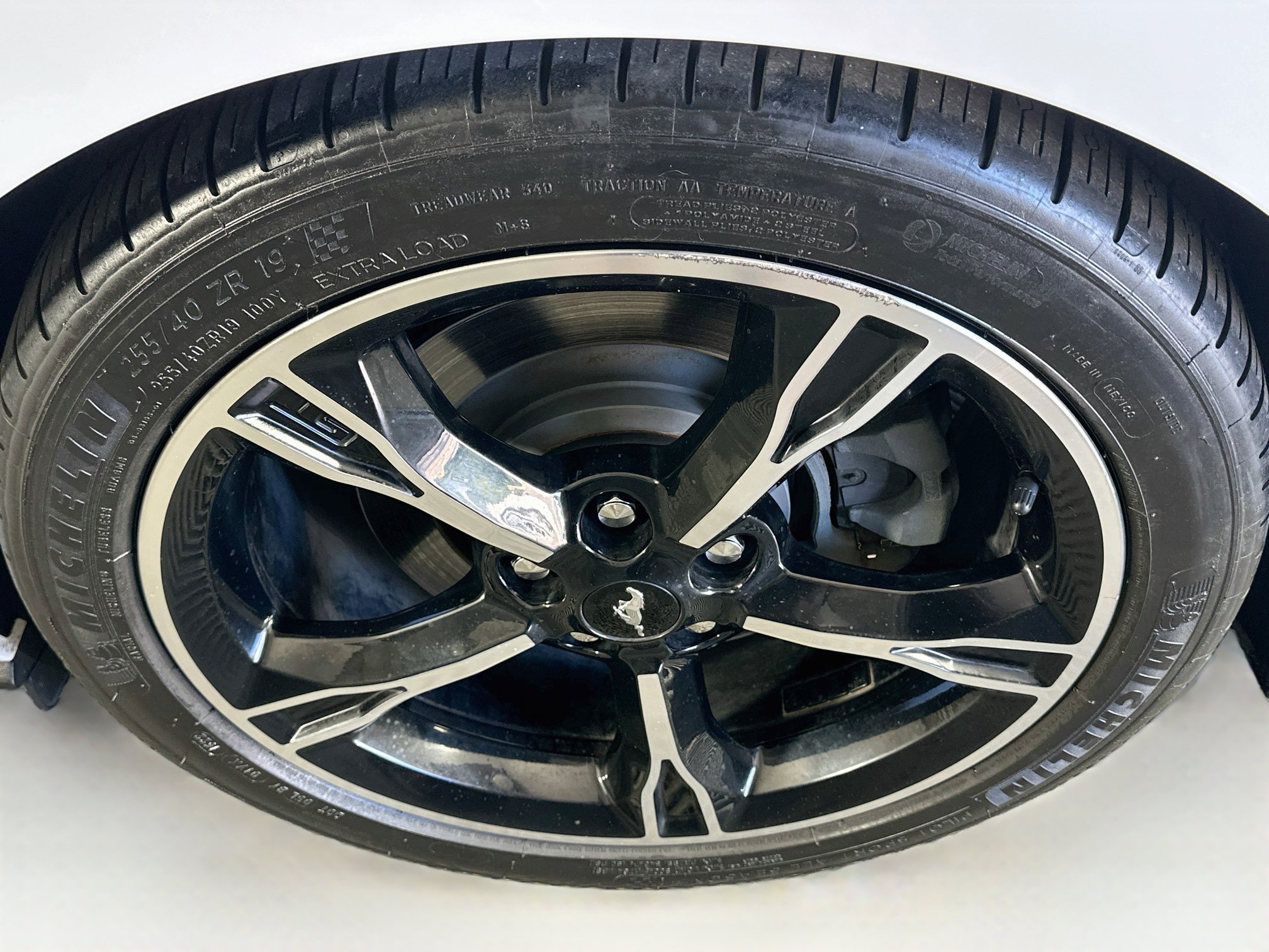 Used 2016 Ford Mustang GT Premium w/ Equipment Group 401A RWD image 11