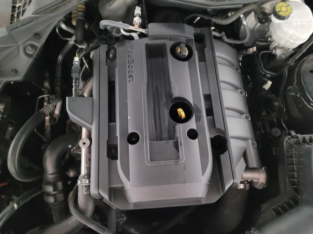 Used 2019 Ford Mustang Coupe image 30