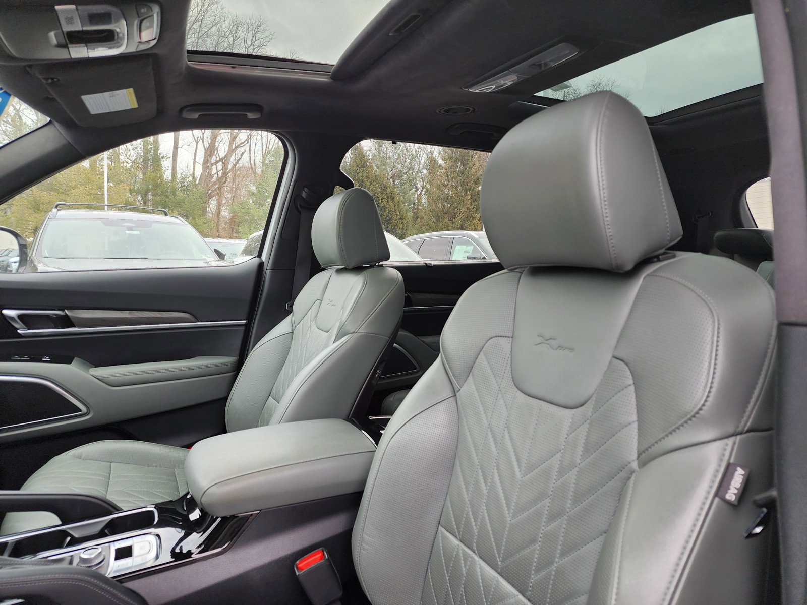 Used 2023 Kia Telluride SX Prestige X-Pro image 7