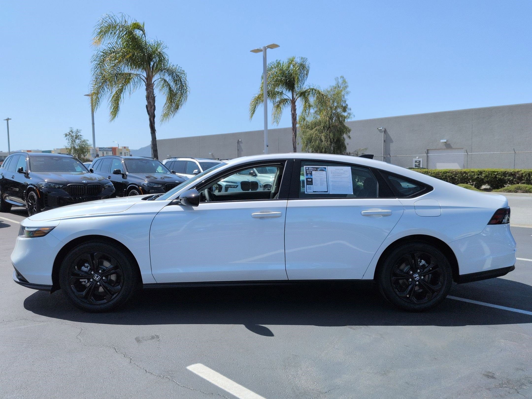 Used 2025 Honda Accord SE image 7