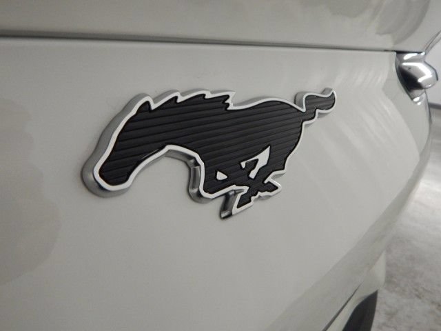 Used 2024 Ford Mustang Mach-E Select w/ Comfort Package Lite AWD/4WD image 5
