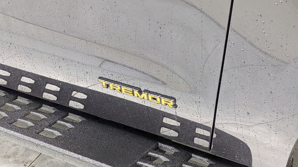 New 2026 Ford Expedition Tremor image 43